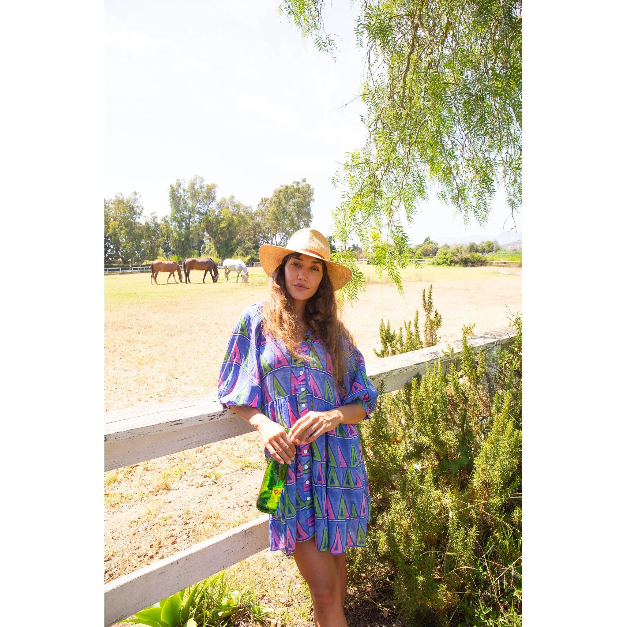 Clara Mini Dress