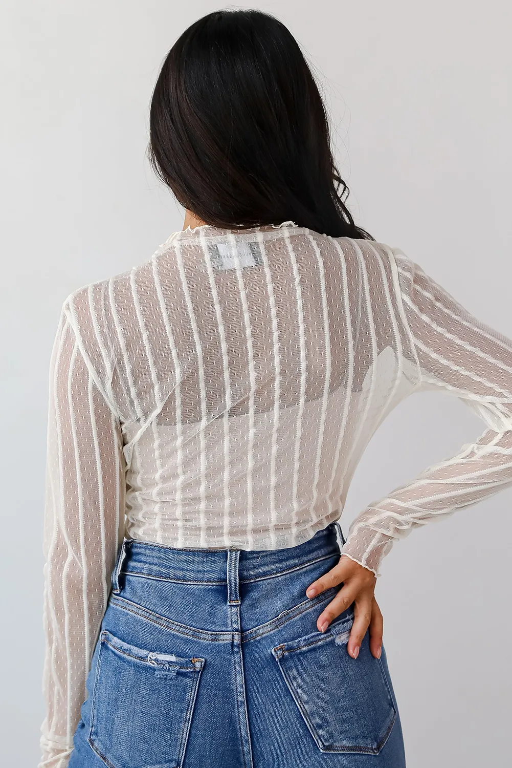 Jet Stream Lace Vertical Stripe Long Sleeve Mock Neck Sheer Blouse