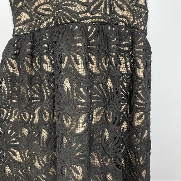 J.O.A Los Angeles Fit And Flare Lace Black Dress