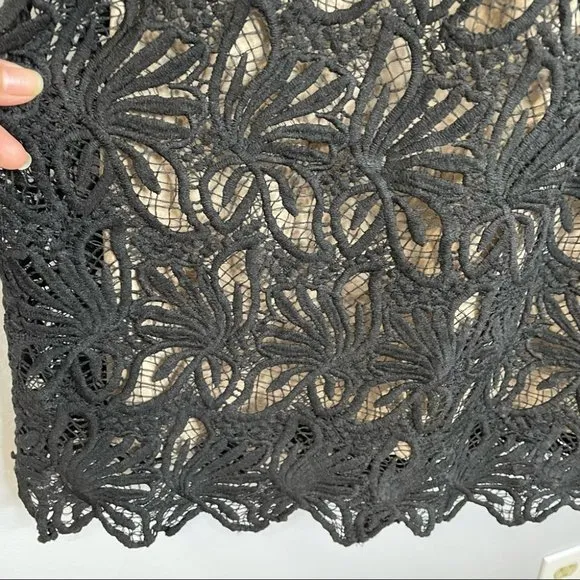 J.O.A Los Angeles Fit And Flare Lace Black Dress