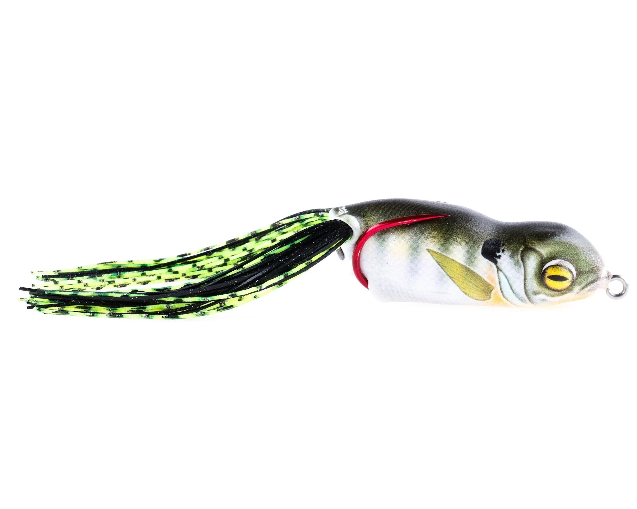 Scum Frog Launch Series