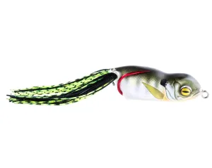 Scum Frog Launch Series