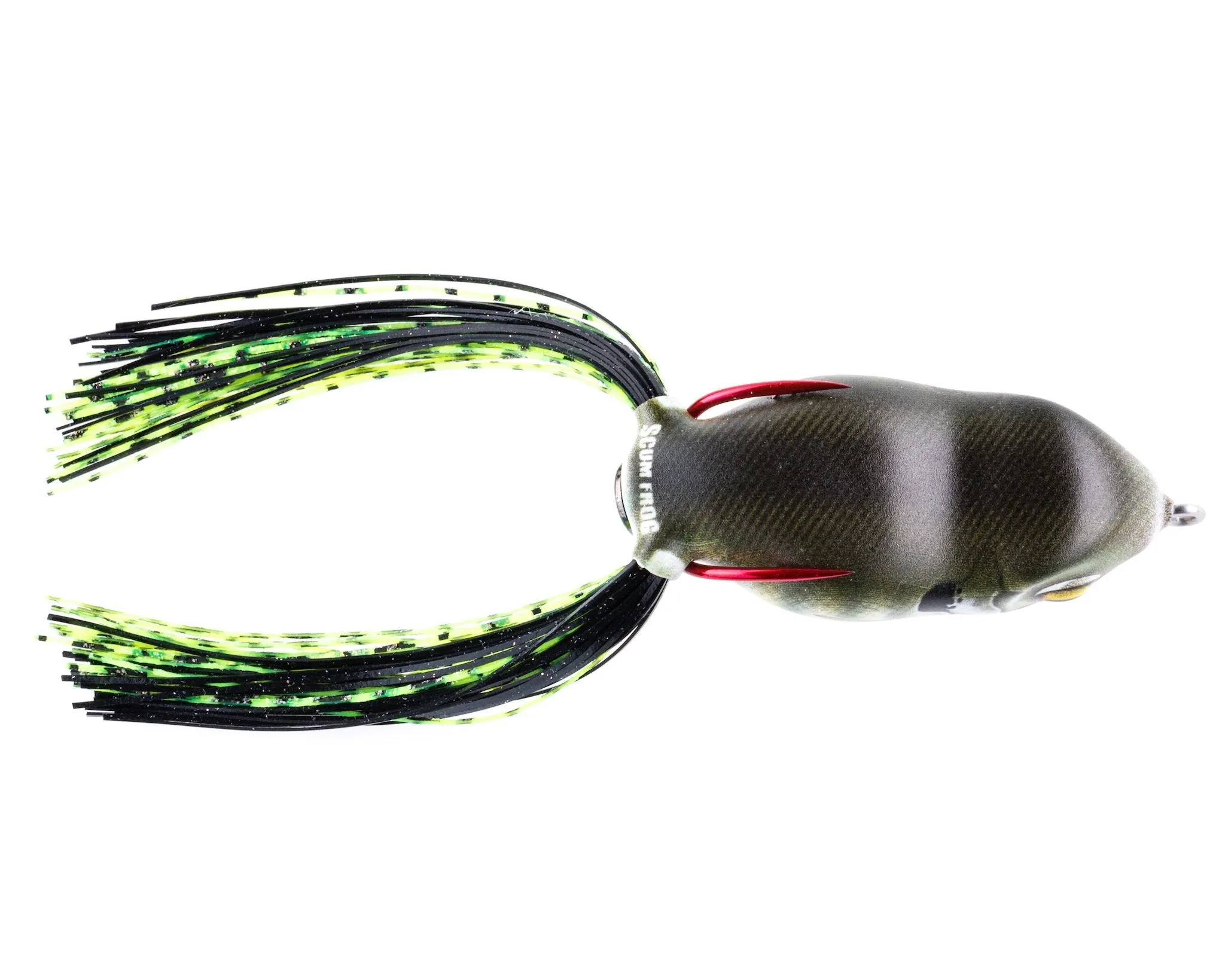Scum Frog Launch Series