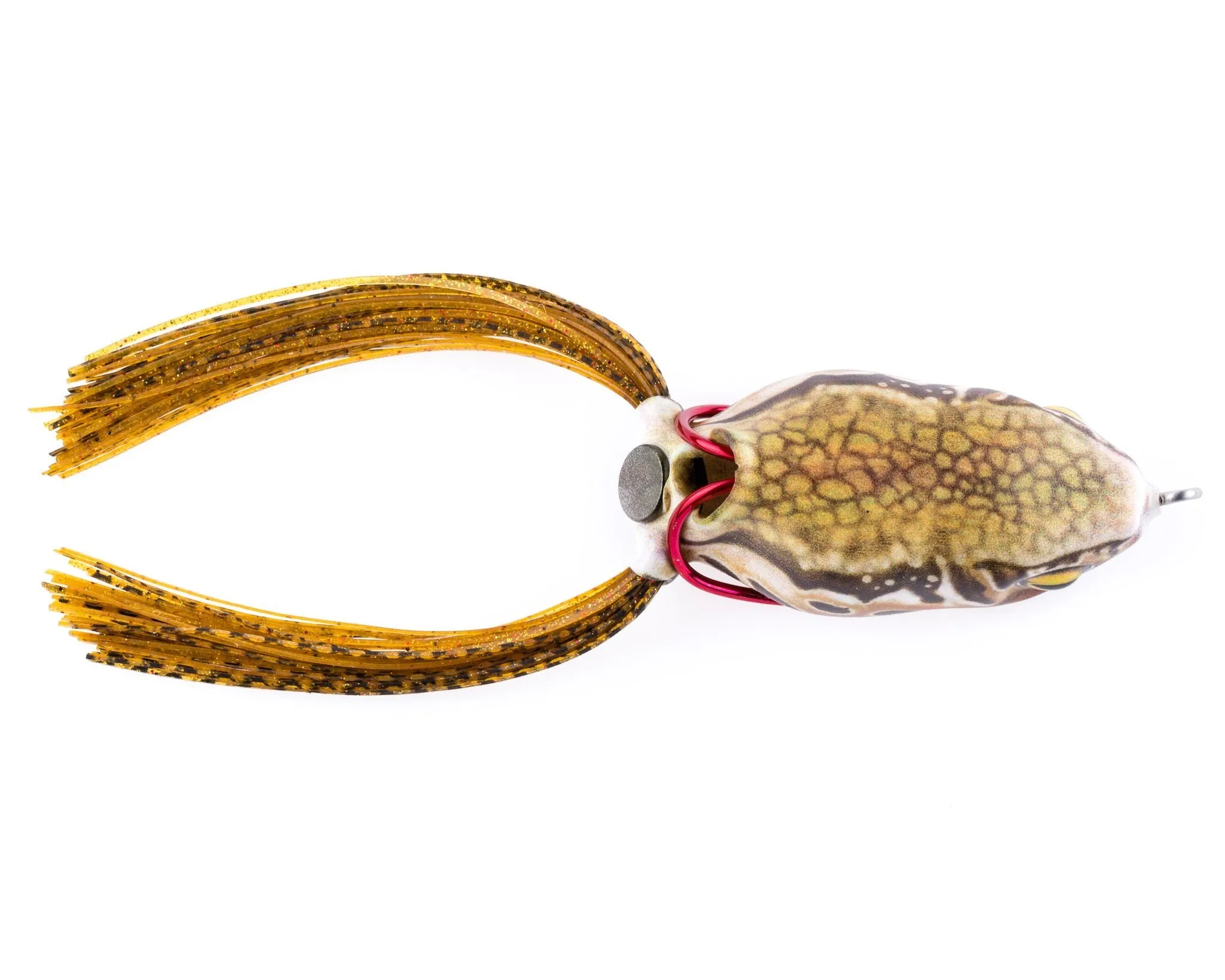 Scum Frog Launch Series
