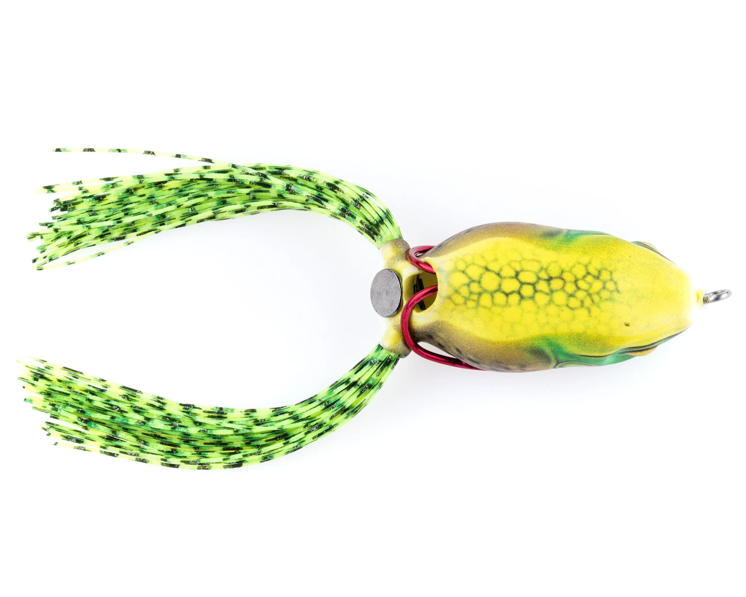 Scum Frog Launch Series