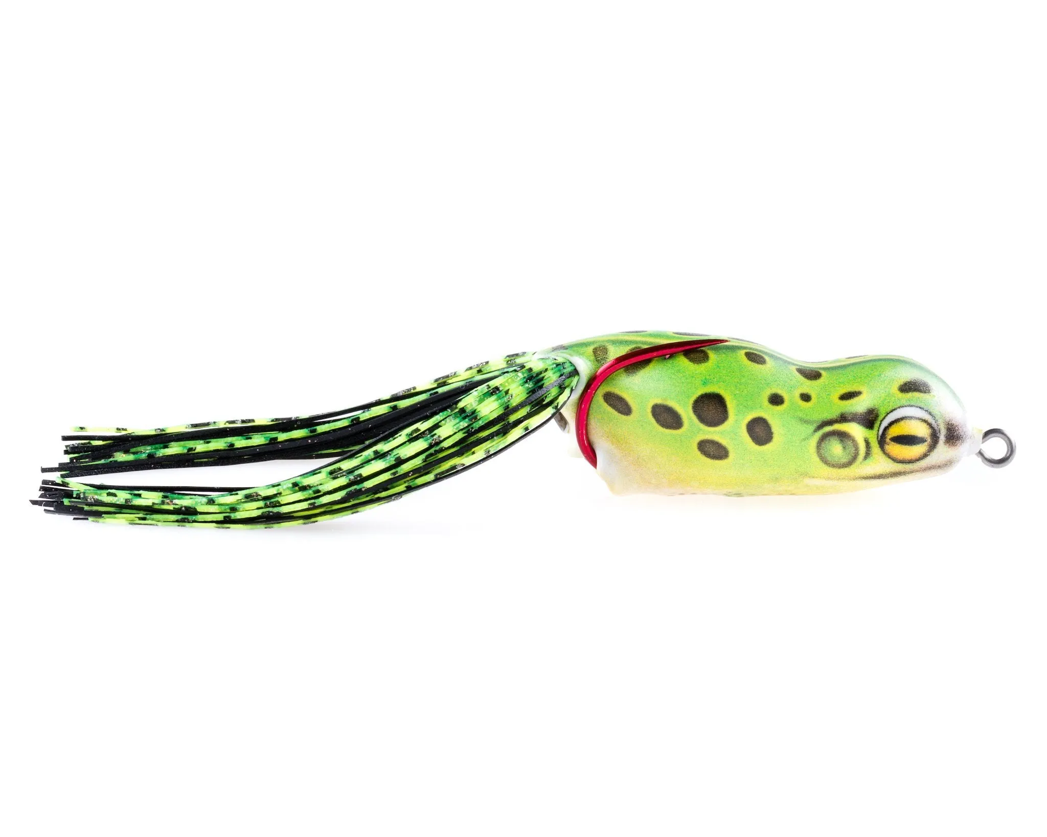 Scum Frog Launch Series