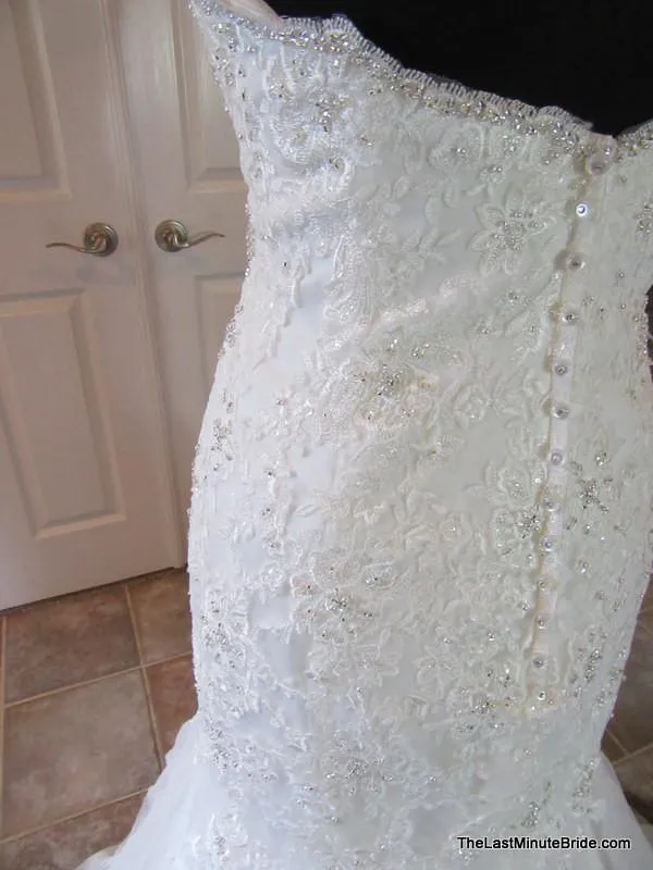 Stella York 5986 Size 14