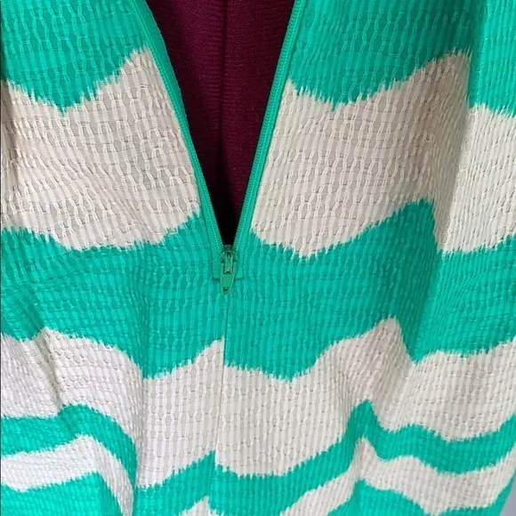 Taylor fit and flare green and white Burlap Dress